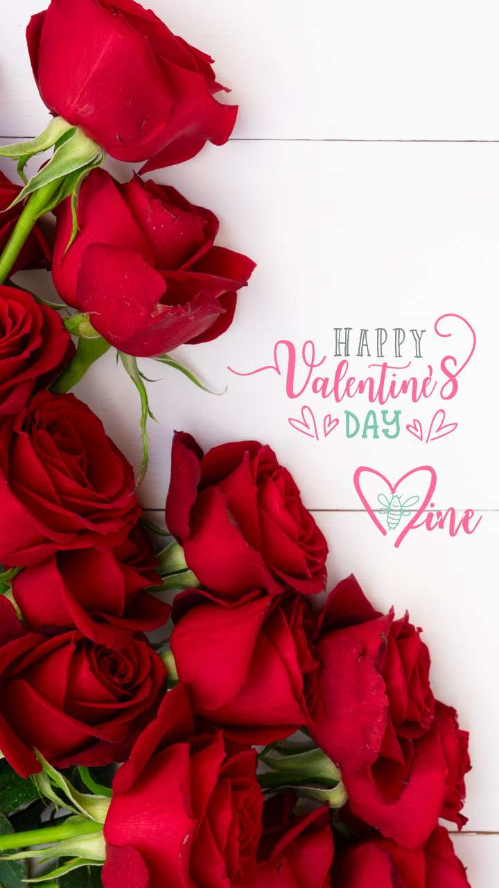 Happy Rose Day: Rose Day 2023: Seven different types of roses, their  special meaning for Valentine's Day - The Economic Times