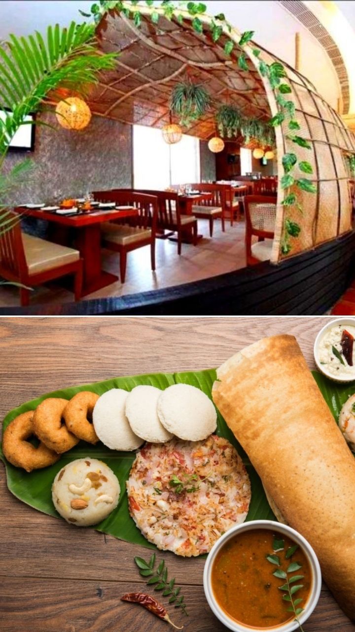 south-indian-restaurants-in-delhi-to-enjoy-perfect-delicacies-from-down