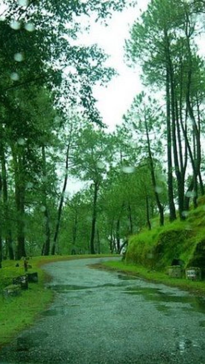 Ranikhet – Uttarakhand