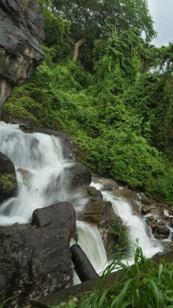 Nelliampathi – Kerala