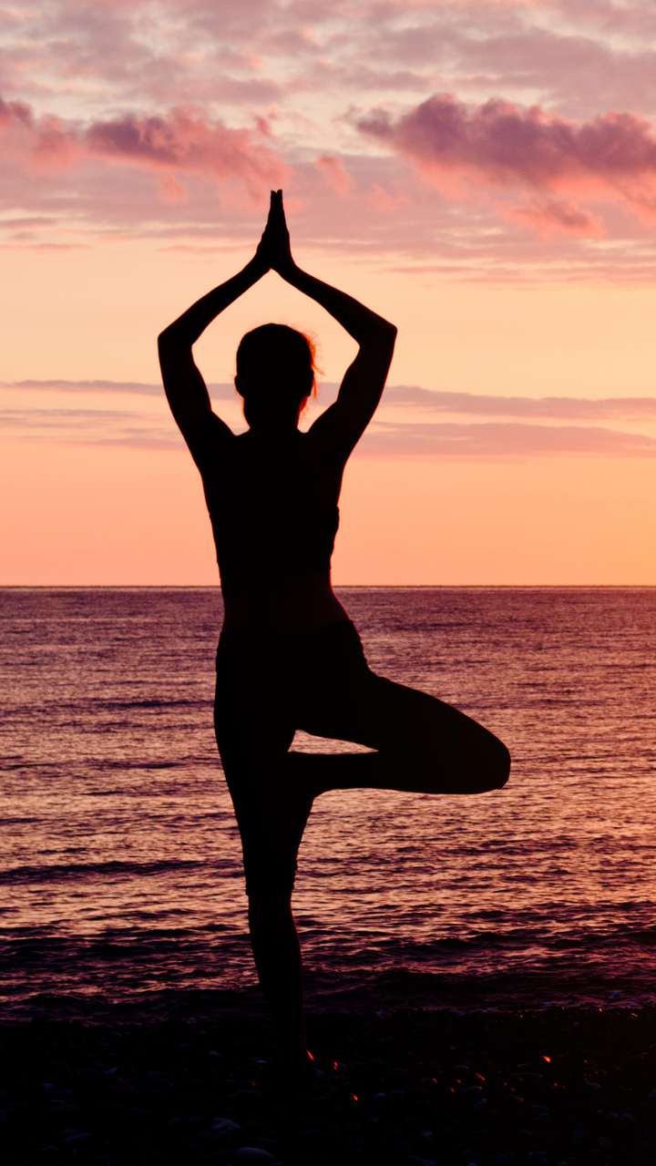 young fit woman training yoga poses in desert during the sunset or sunrise,  female in black sportswear do stretching exercises 8535899 Stock Photo at  Vecteezy