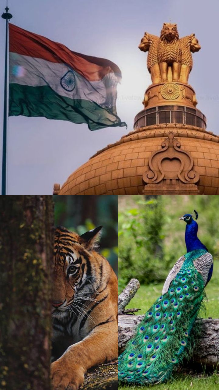 Indias Pride 10 National Symbols That Define The Nation