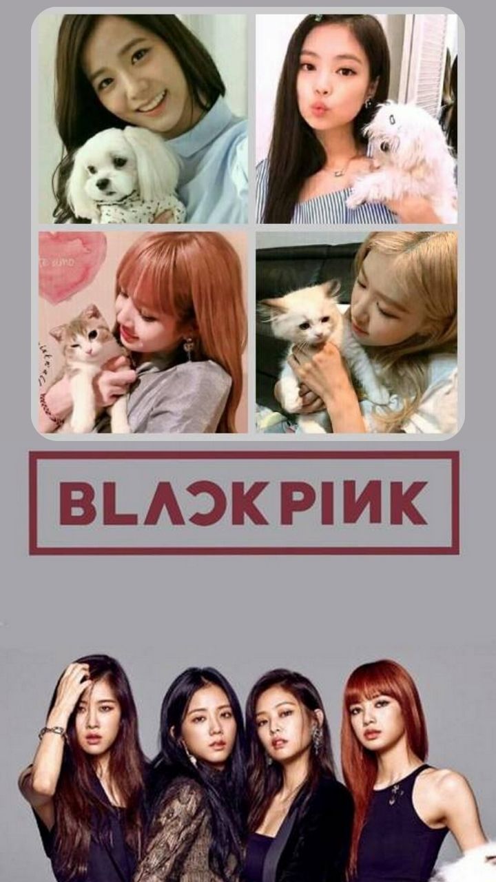 Furr Buddies who stole hearts of BLACKPINK Members