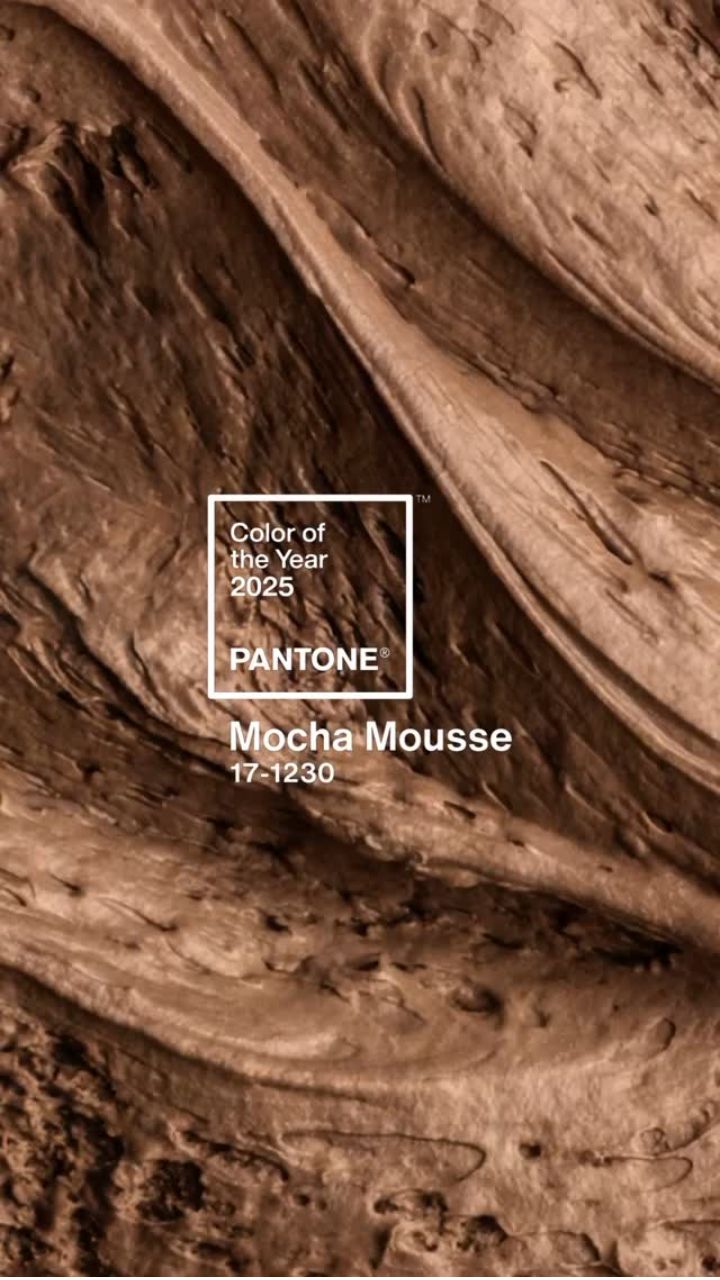 Bollywood Celebs Rocking Pantone Color Of The Year 2025 Mocha Mousse