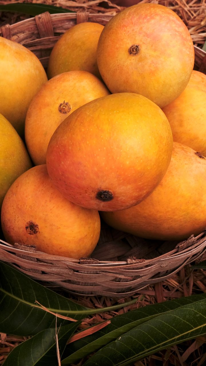 Types of Indian Mango Varieties