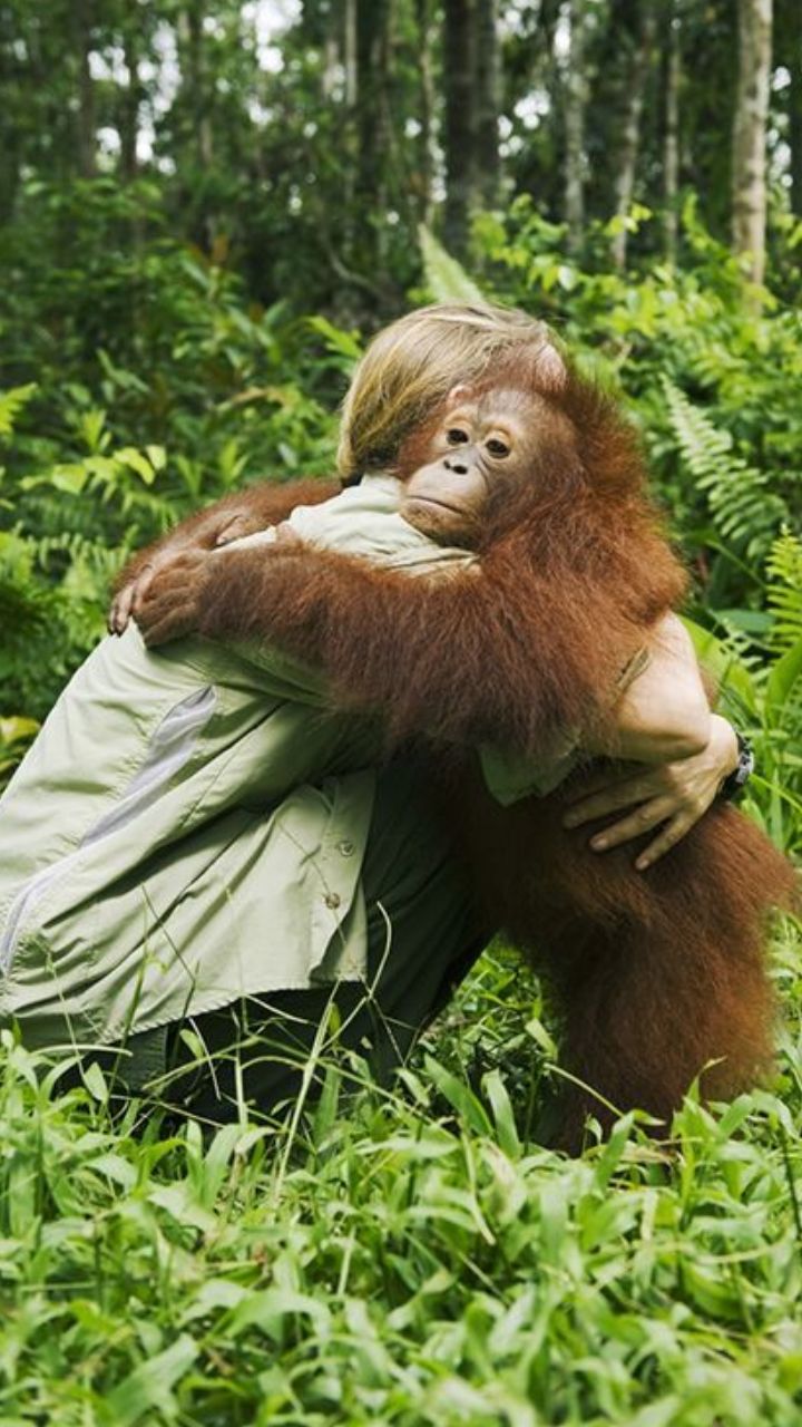 5 Most Endangered Animal Species in The World