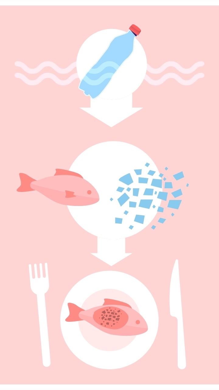 Harmful Impacts of Microplastics on  Human Health